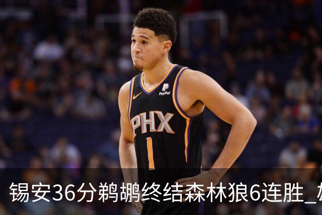 锡安36分鹈鹕终结森林狼6连胜 雄鹿险胜公牛
